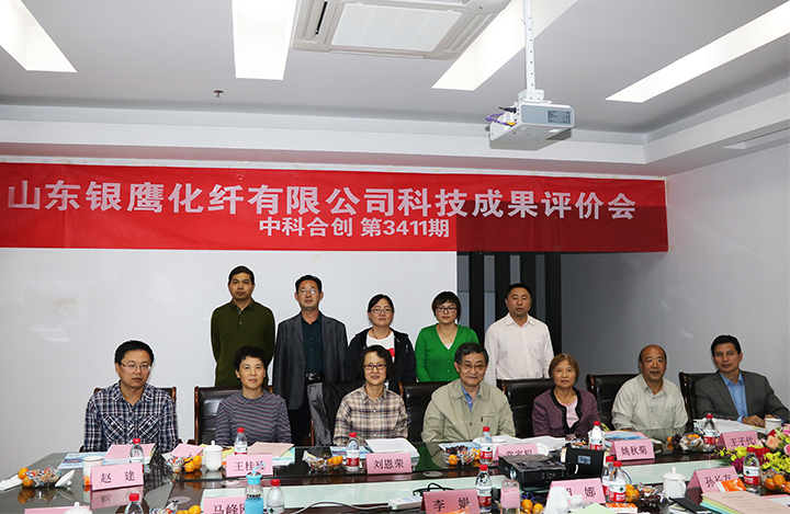 扁平粘胶纤维的研制 anli.jpg